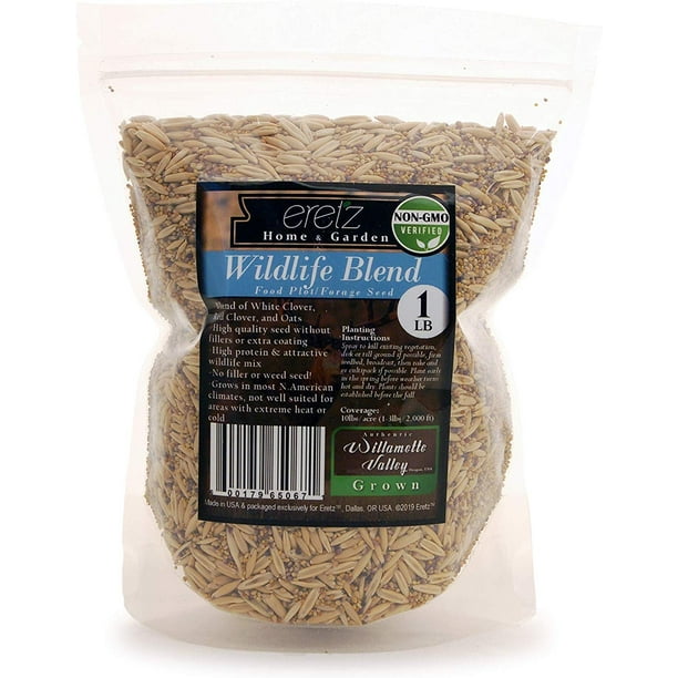Details about USA hot MICROGREENS seeds Garden Non-GMO eat in 10 days~GROW FULL SIZE Vegetable Details about USA hot MICROGREENS seeds Garden Non-GMO eat in 10 days~GROW FULL SIZE Vegetable